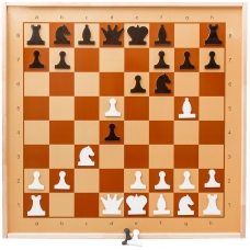Шахматы демонстрационные настенные Десятое королевство, магнитные, поле 70*70см