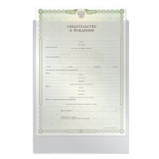 Папка-файл для свидетельства о рождении, 190х263 мм, без отверстий, 0,12 мм, ДПС, 1746