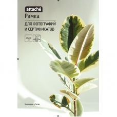Рамка Attache КЛИП 21х30 Рамка Attache КЛИП 21х30