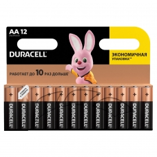 Батарейки DURACELL Basic, AA LR06, 15А, алкалиновые, КОМПЛЕКТ 12 шт., в блистере Батарейки DURACELL Basic, AA LR06, 15А, алкалиновые, КОМПЛЕКТ 12 шт., в блистере
