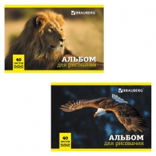 Альбом для рисования, А4, 40 л., обложка картон, BRAUBERG Дикие животные, 104876