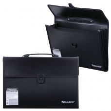 Портфель пластиковый BRAUBERG, 390х260х40 мм, 3 отделения, с окантовкой, черный, 221389